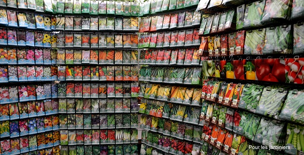 des sachets de graines par centaines