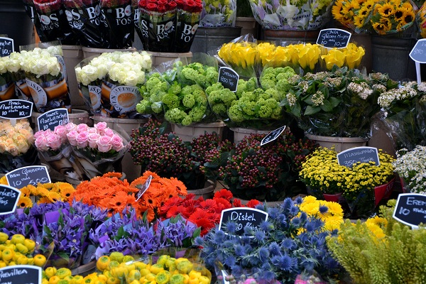 les bouquets de fleurs