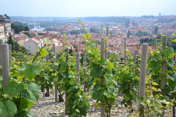 Vue sur Prague depuis la Colline PETRIN