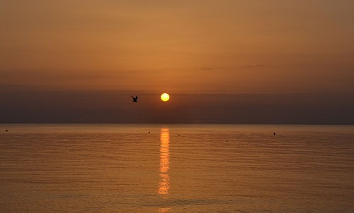 le passage de la mouette